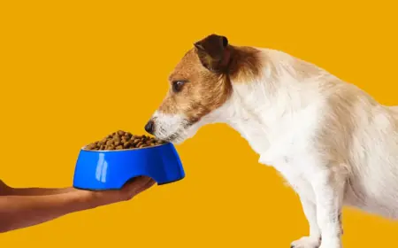 12 Zdravih Namirnica za Vašeg Psa: Održavanje Zdravlja Kroz Ishranu